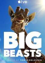 Watch Big Beasts Movie2k