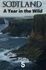 Watch Scotland: A Wild Year Movie2k