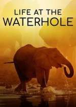 Watch Life at the Waterhole Movie2k