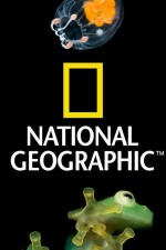 Watch Nat Geo Amazing! Movie2k