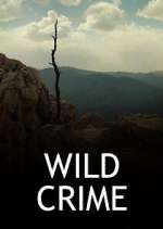 Watch Wild Crime Movie2k