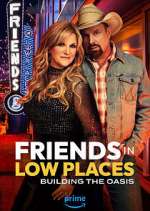 Watch Friends in Low Places Movie2k