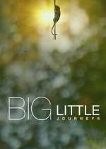 Watch Big Little Journeys Movie2k