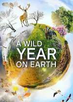 Watch A Wild Year on Earth Movie2k