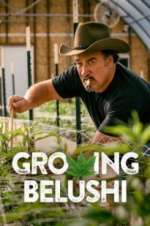 Watch Growing Belushi Movie2k