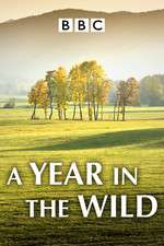 Watch A Year in the Wild Movie2k