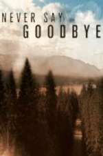 Watch Never Say Goodbye Movie2k