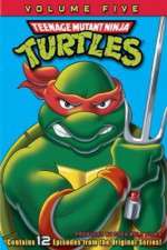 Watch Teenage Mutant Ninja Turtles Movie2k