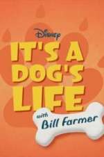 Watch It\'s a Dog\'s Life with Bill Farmer Movie2k