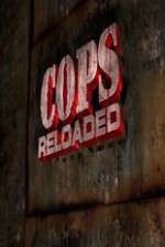 Watch Cops Reloaded Movie2k