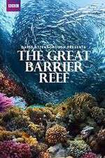 Watch Great Barrier Reef with David Attenborough Movie2k