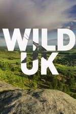 Watch Wild UK Movie2k