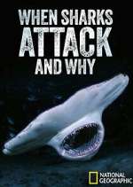 Watch When Sharks Attack... And Why Movie2k