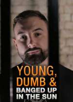 Watch Young Dumb & Banged Up in the Sun Movie2k