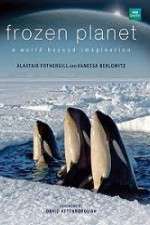 Watch Frozen Planet Movie2k