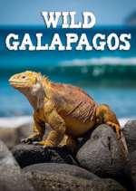 Watch Wild Galapagos Movie2k