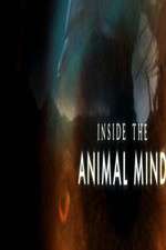 Watch Inside the Animal Mind Movie2k