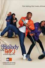 Watch Brandy and Ray J: A Family Business Movie2k