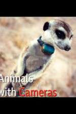 Watch Animals with Cameras Movie2k