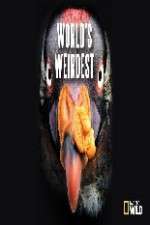 Watch National Geographic Worlds weirdest Movie2k