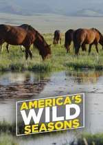 Watch America's Wild Seasons Movie2k