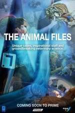 Watch The Animal Files Movie2k