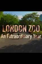 Watch London Zoo: An Extraordinary Year Movie2k