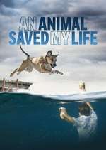 Watch An Animal Saved My Life Movie2k