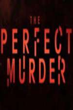 Watch The Perfect Murder Movie2k