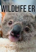 Watch Wildlife ER Movie2k