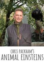 Watch Chris Packham's Animal Einsteins Movie2k