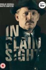 Watch In Plain Sight Movie2k