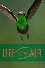 Watch Life in the Air Movie2k