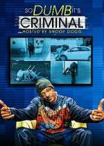 Watch So Dumb It's Criminal Movie2k