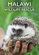 Watch Malawi Wildlife Rescue Movie2k