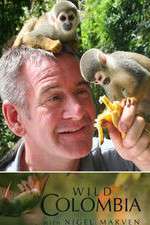 Watch Wild Colombia with Nigel Marven Movie2k