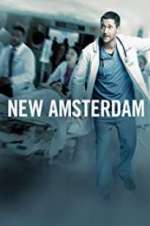 Watch New Amsterdam Movie2k