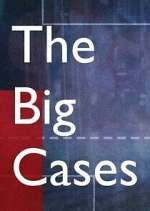 Watch The Big Cases Movie2k