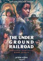 Watch The Underground Railroad Movie2k