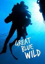 Watch Great Blue Wild Movie2k