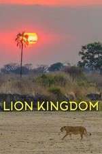 Watch Lion Kingdom Movie2k