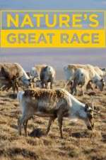 Watch Nature's Great Race Movie2k