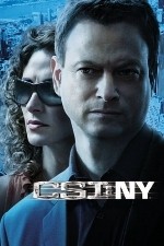 Watch CSI: NY / New York Movie2k