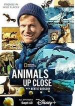 Watch Animals Up Close with Bertie Gregory Movie2k