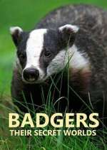 Watch Badgers: Their Secret Worlds Movie2k