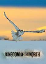 Watch Kingdom of the North Movie2k
