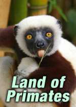 Watch Land of Primates Movie2k