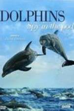 Watch Dolphins: Spy in the Pod Movie2k