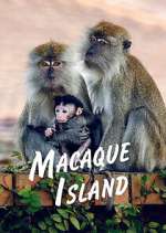 Watch Macaque Island Movie2k