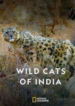 Watch Wild Cats of India Movie2k